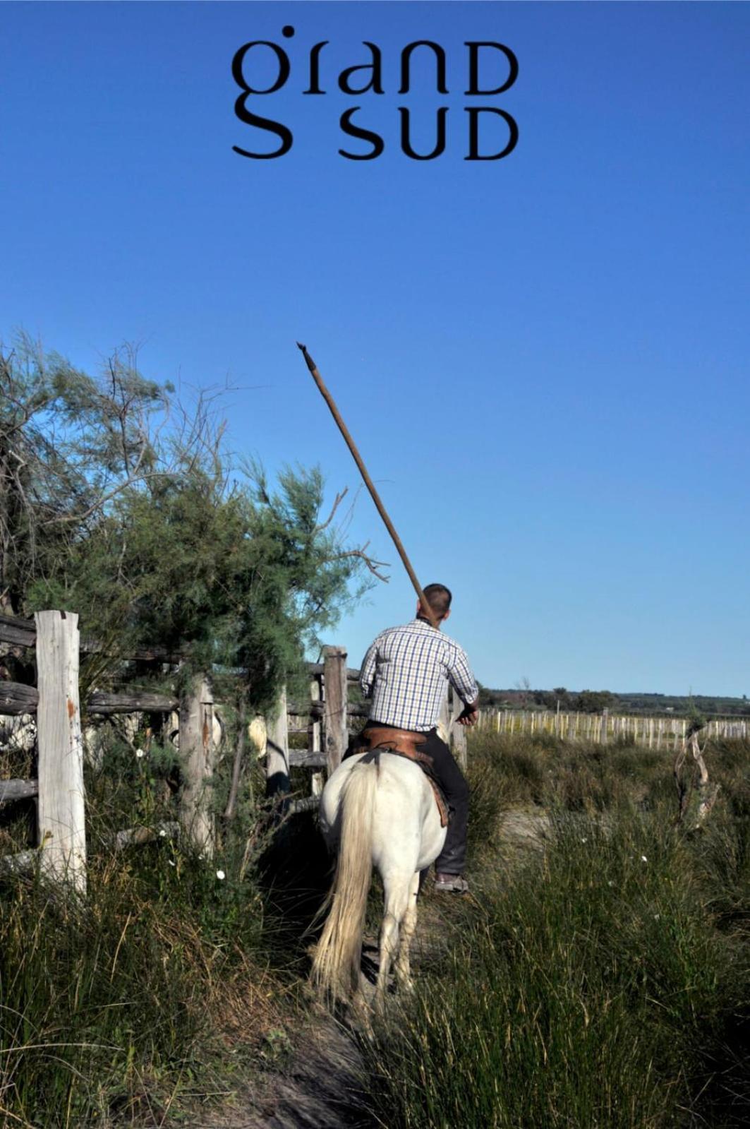 L'Oree De Camargue Studio Avec Cour ル・グロー・デュ・ロワ エクステリア 写真